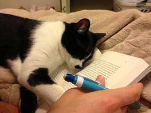 Moses collapses on Donald A. Norman's Living with Complexity. 