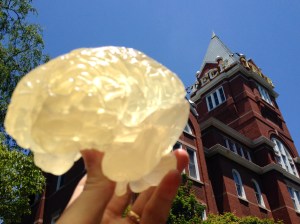 Georgia Tech: Engineering Great Minds.