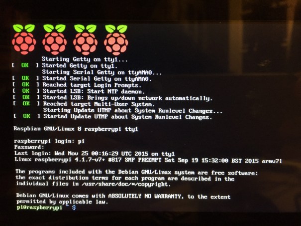 Raspbian's CLI.