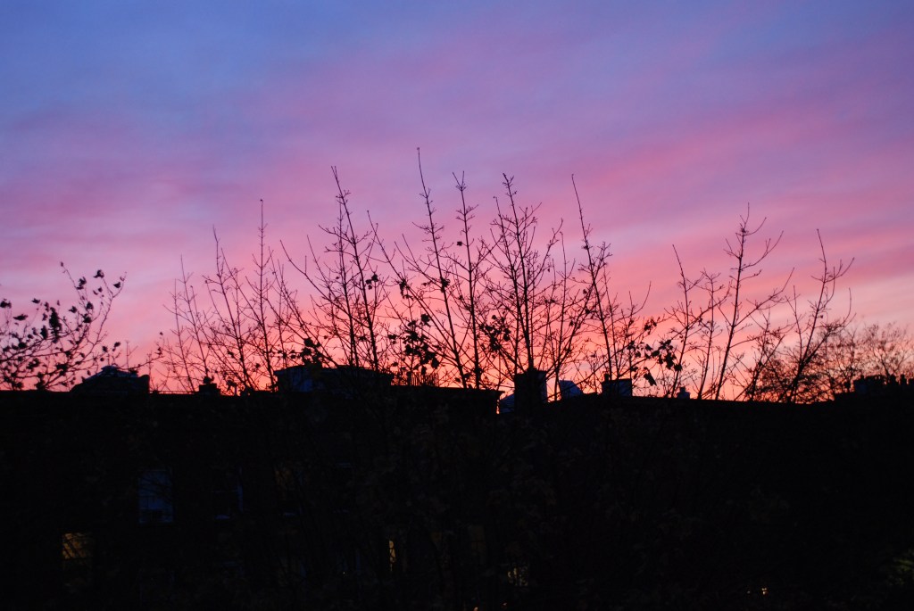 Sunset in Brooklyn.