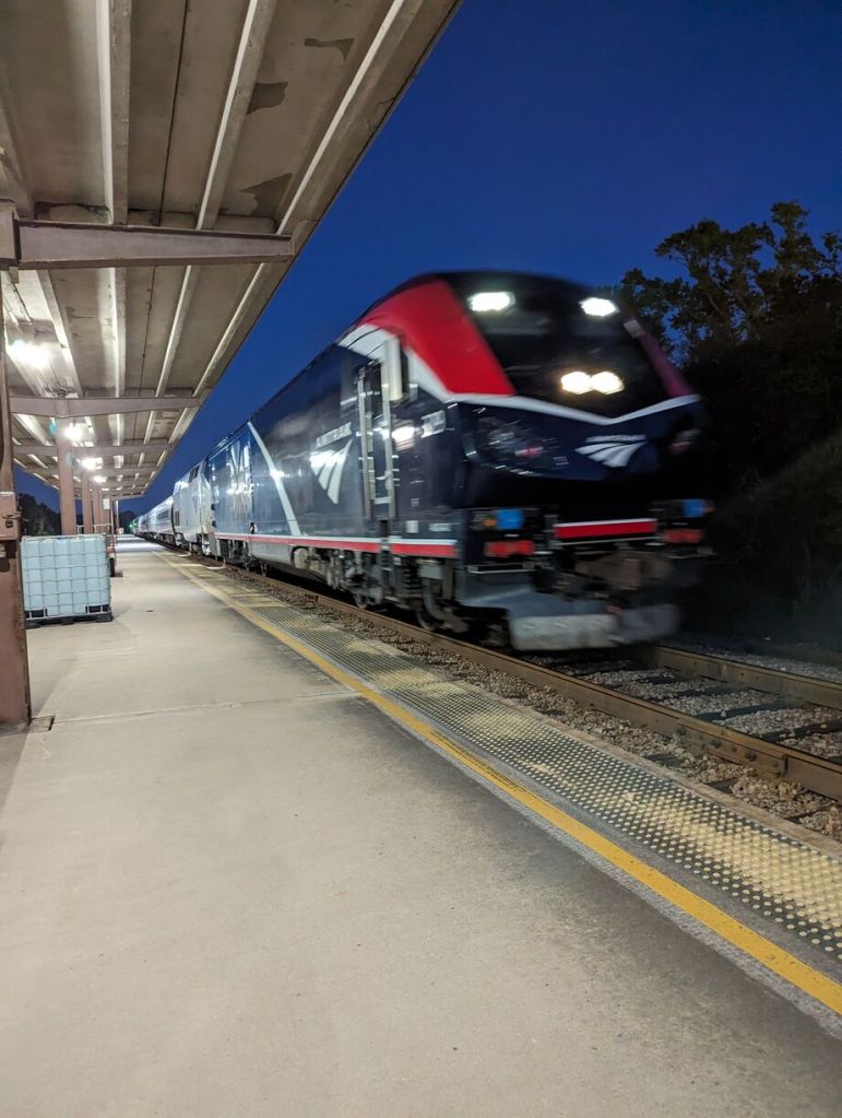 Amtrak Silver Meteor Train, Savannah to Penn Station, NYC.