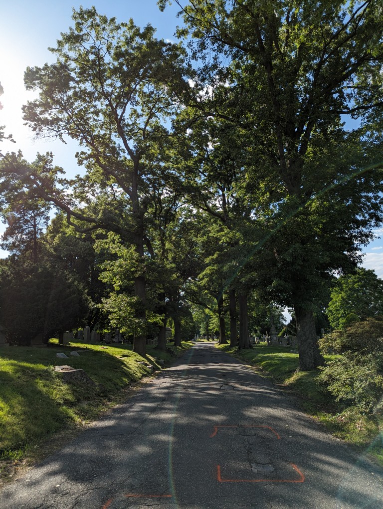 Road surface flanked by old-growth trees on either side in Green-Wood Cemetery, Brooklyn, New York.