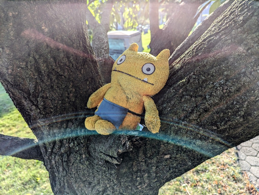 Orange stuffed animal resting in the crook of a tree in a cemetery.