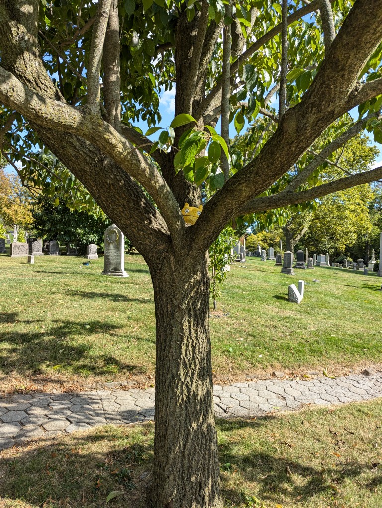 uglydoll wage sitting between the branches of a tree