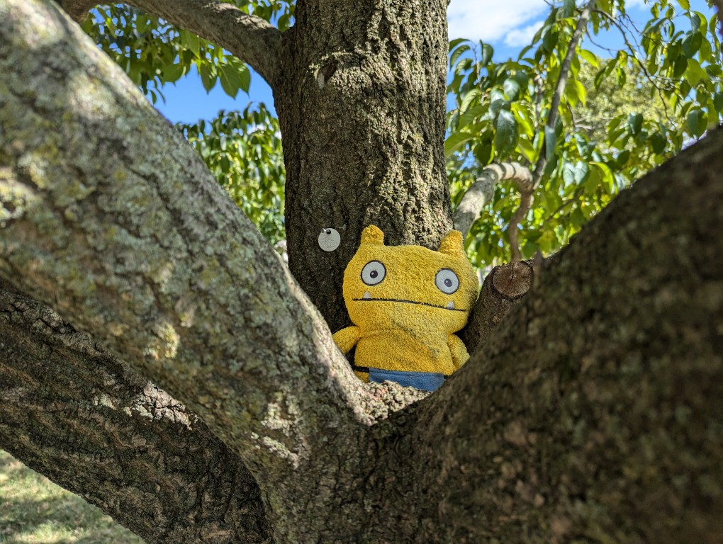 uglydoll wage sitting between the branches of a tree