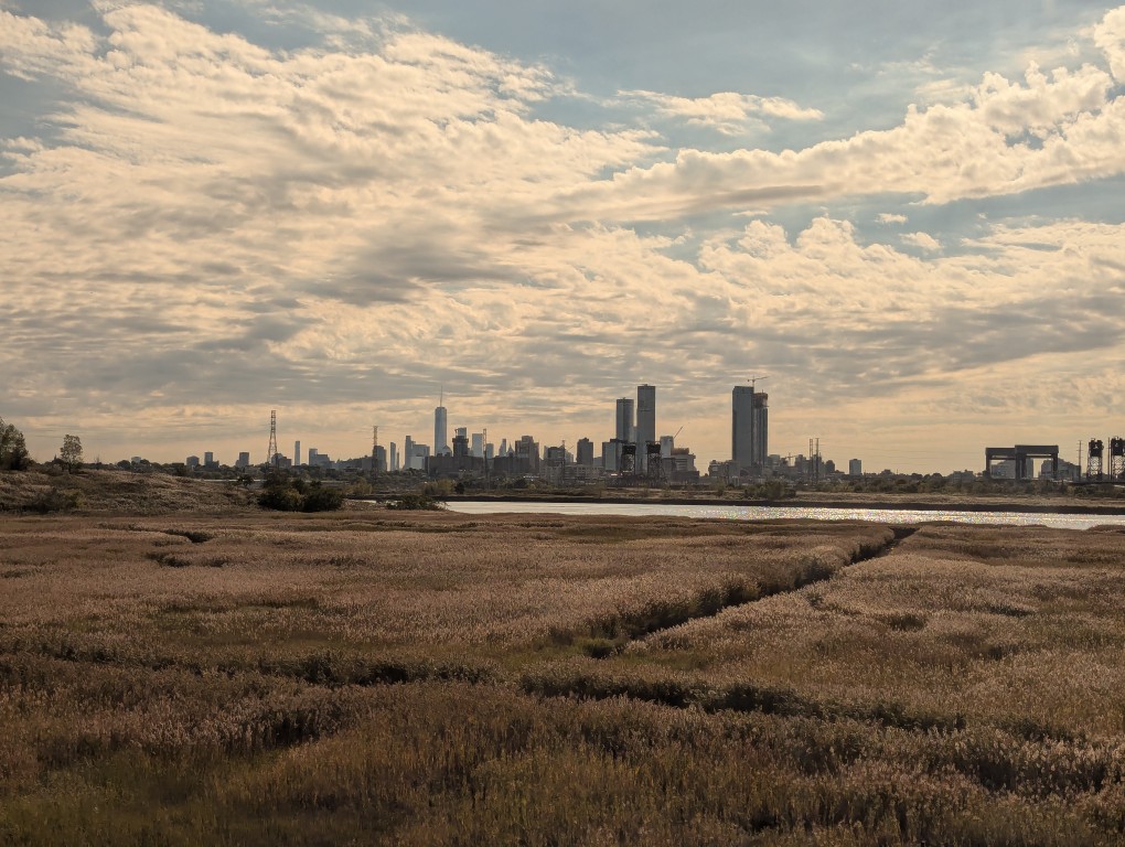 view of downtown manhattan skyline from new jersey