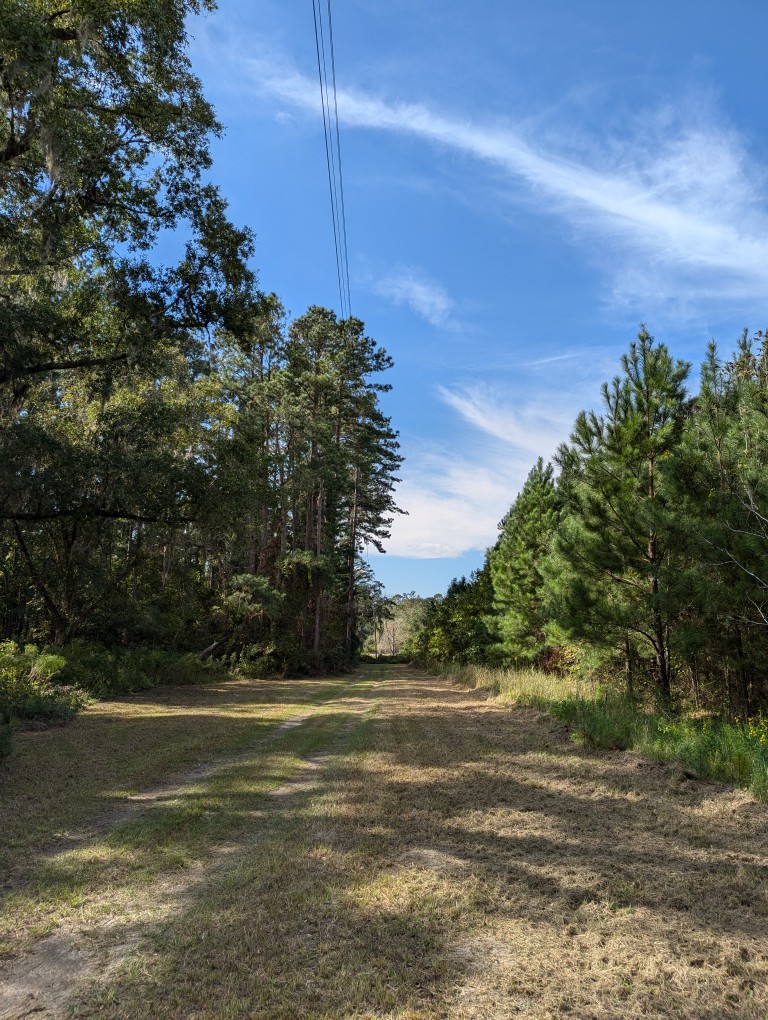 driveway along the powerline easement