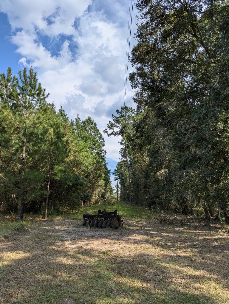 powerline easement in front of the field