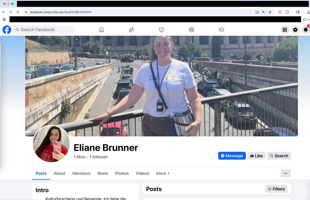 Facebook profile of "Elaine Brunner" shows a young woman standing above a busy street and an avatar of her wearing a red hoodie taking a selfie with a cell phone