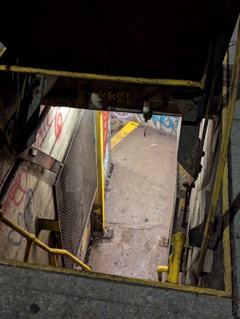 peering into the passageway under the sidwalk and the steep metal steps going down about 10 feet