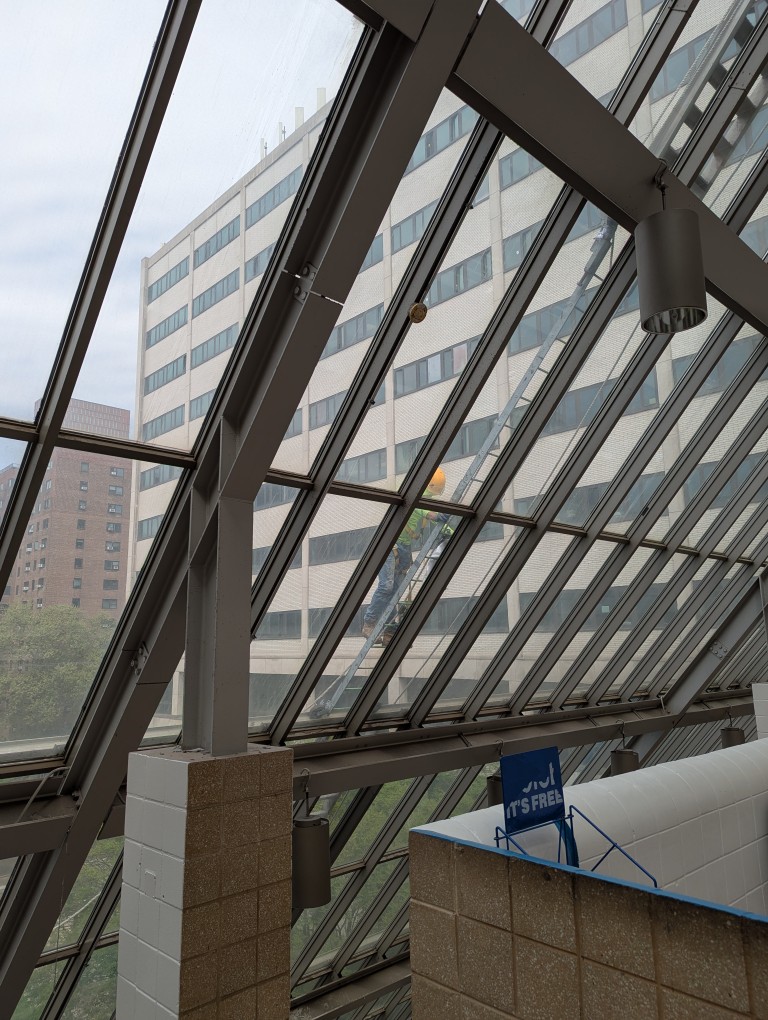 worker outside the glass roof