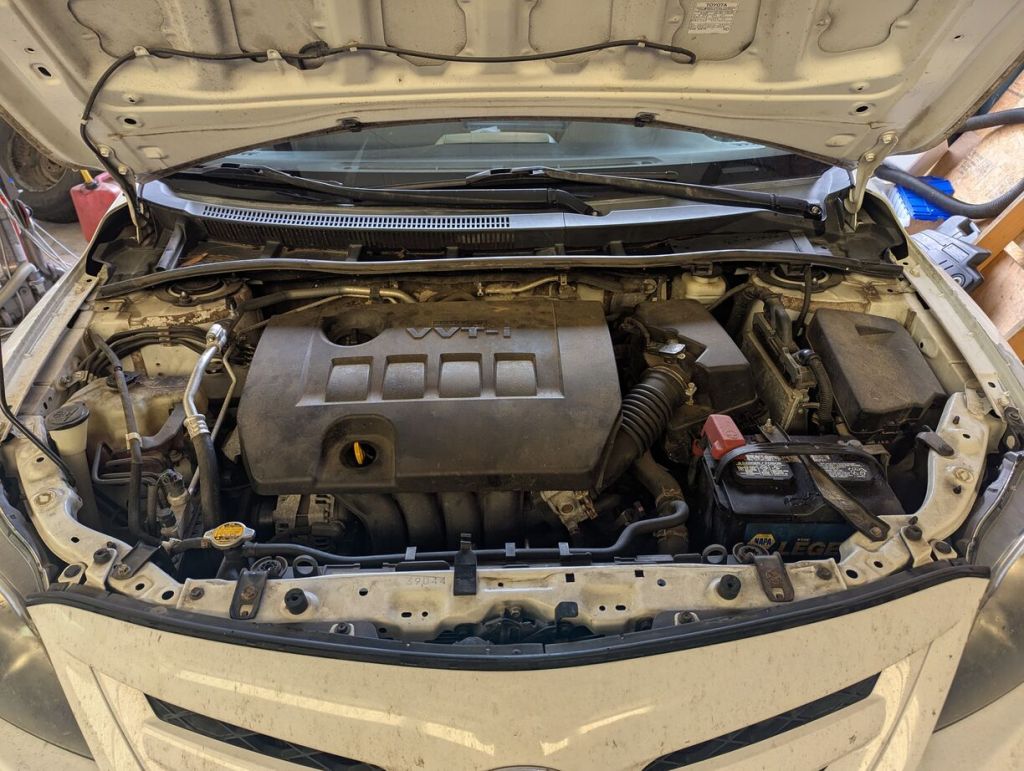 hood up on the corolla