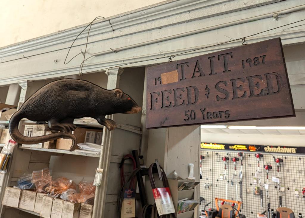 a large plastic rat next to a wood sign that says Tait Feed & Seed, 50 years